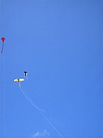 2008 KiteFestival-017.jpg